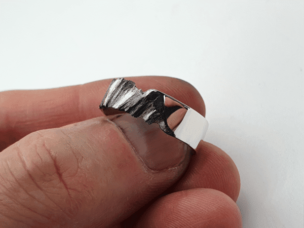 equilibrium-20231109_122826 ring of contrast and balance in silver and black – angled view